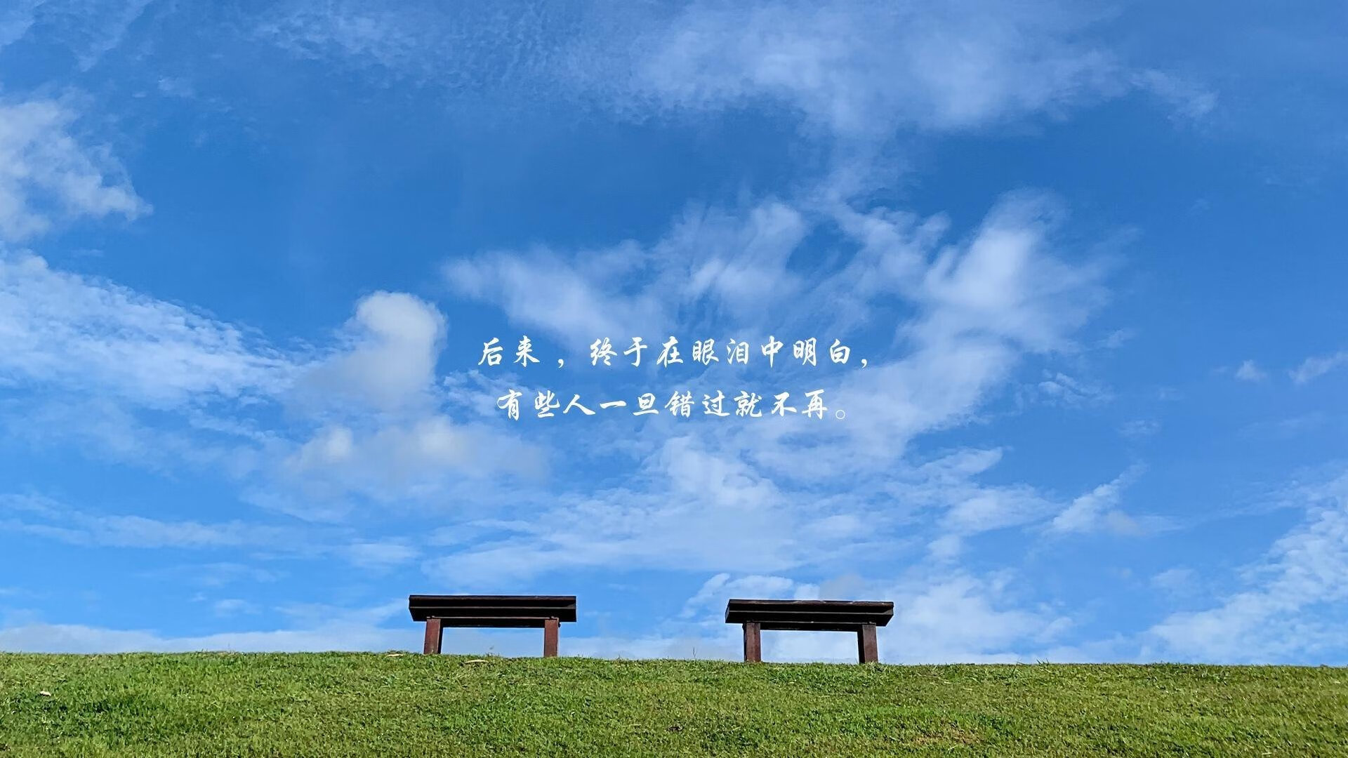 珠海海鲜批发市场价格(珠海海鲜市场价格参考)