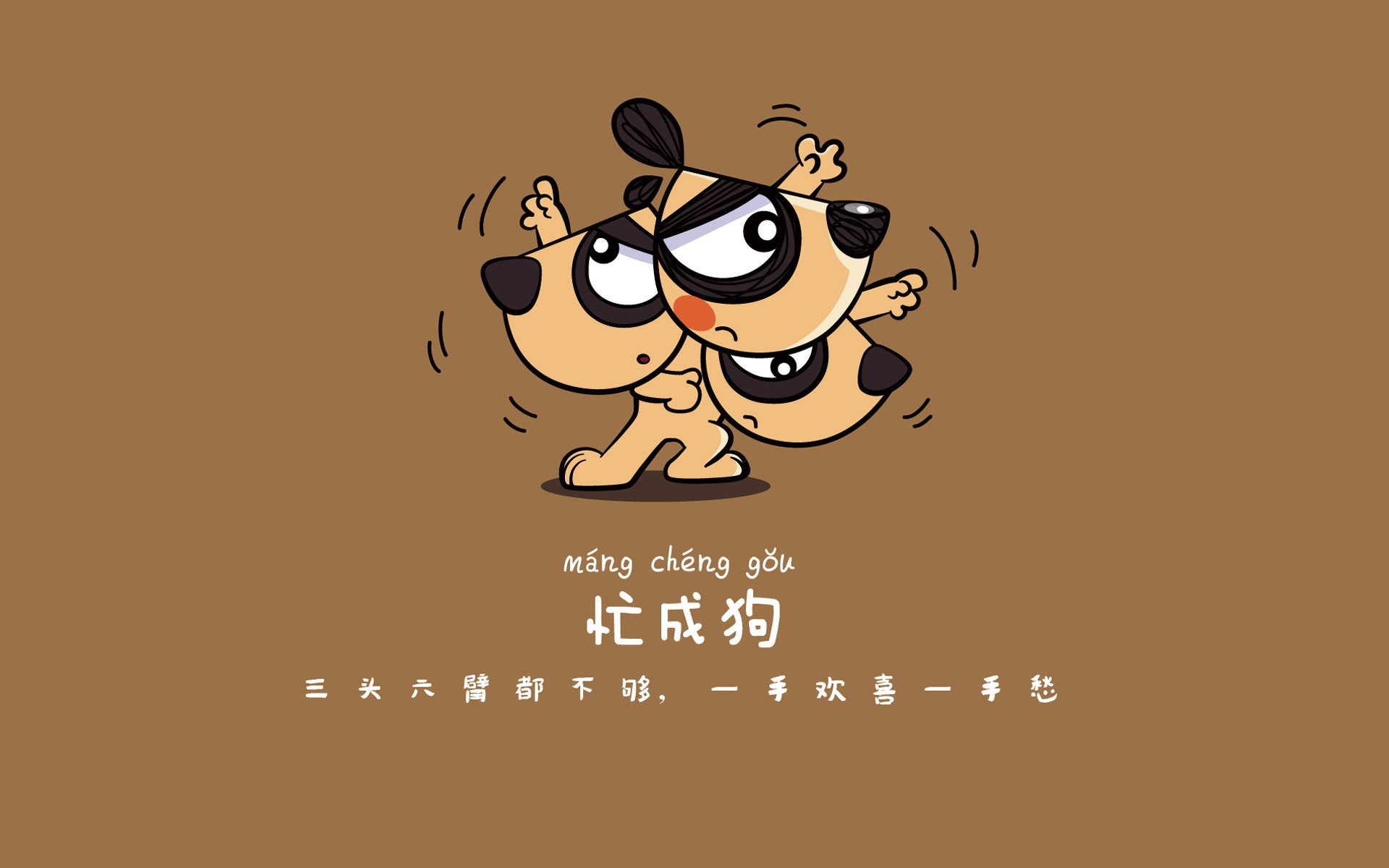 海产品什么补血效果好呢(海产品补血吗)
