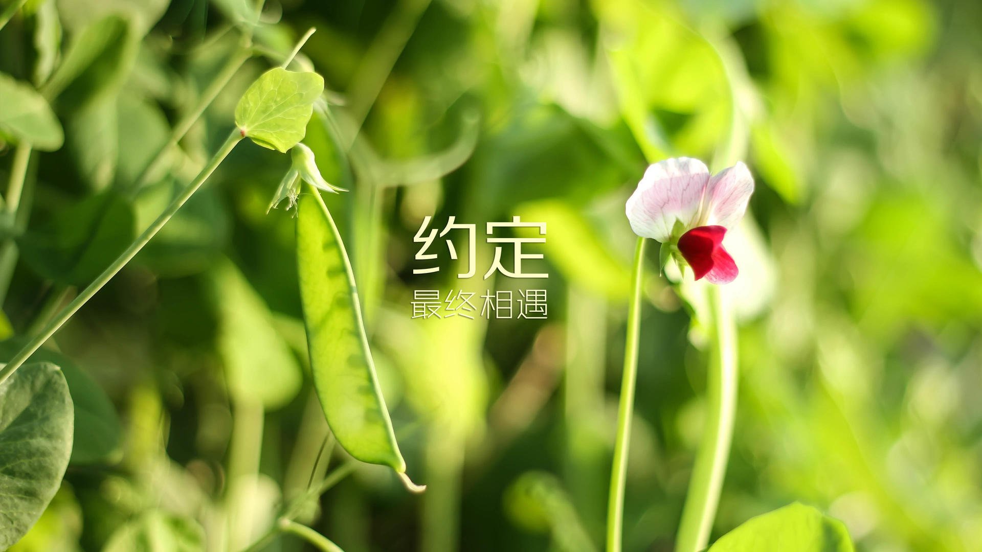海产品分类标准最新版(海产品类食物有哪些)